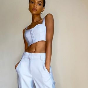 NWT Aritzia Babaton 1-01 Ice Top